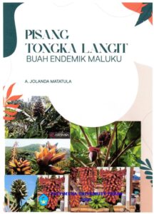 PISANG TONGKA LANGIT   BUAH ENDEMIK MALUKU