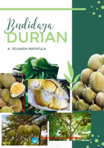 BUDIDAYA DURIAN