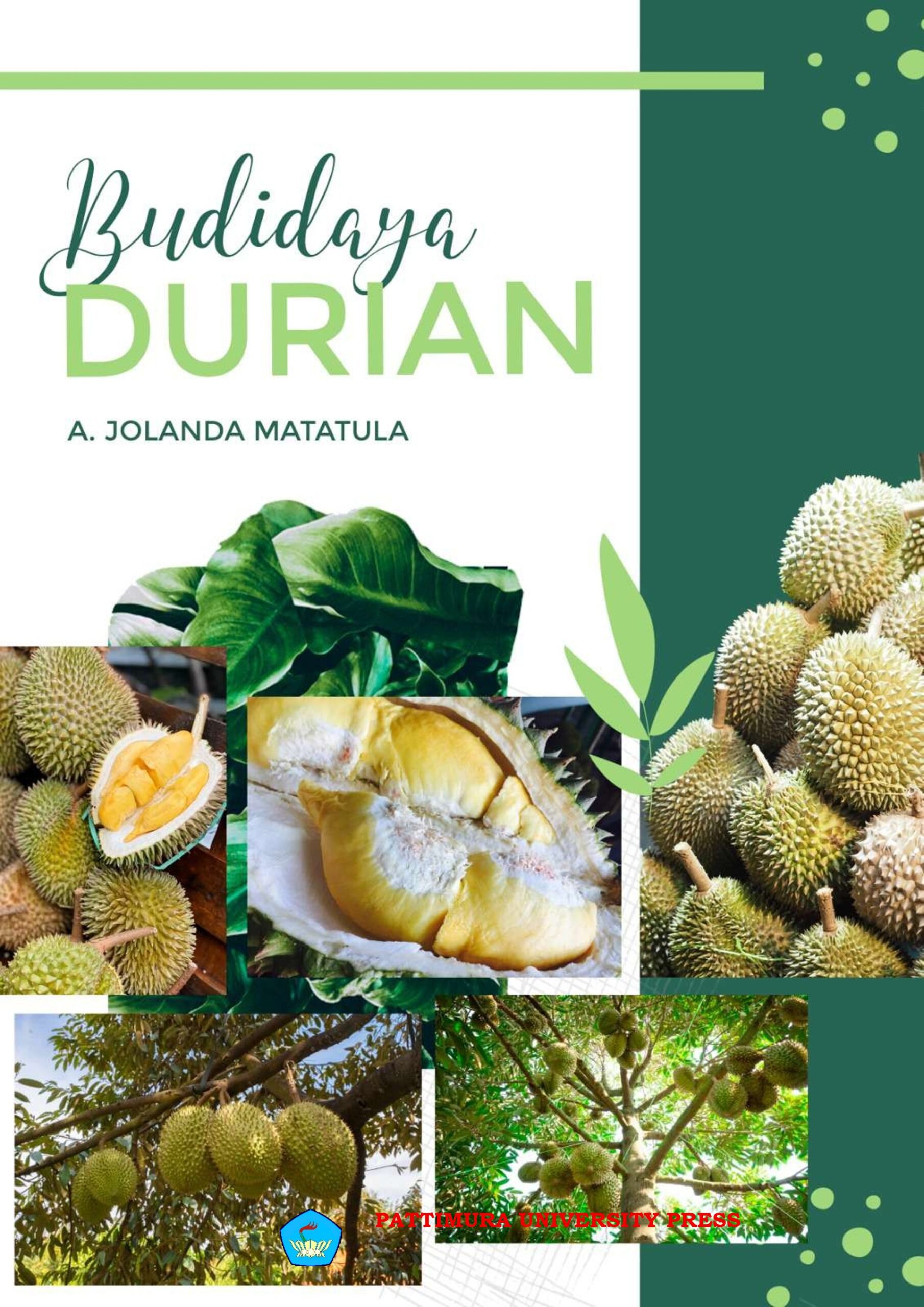 BUDIDAYA DURIAN